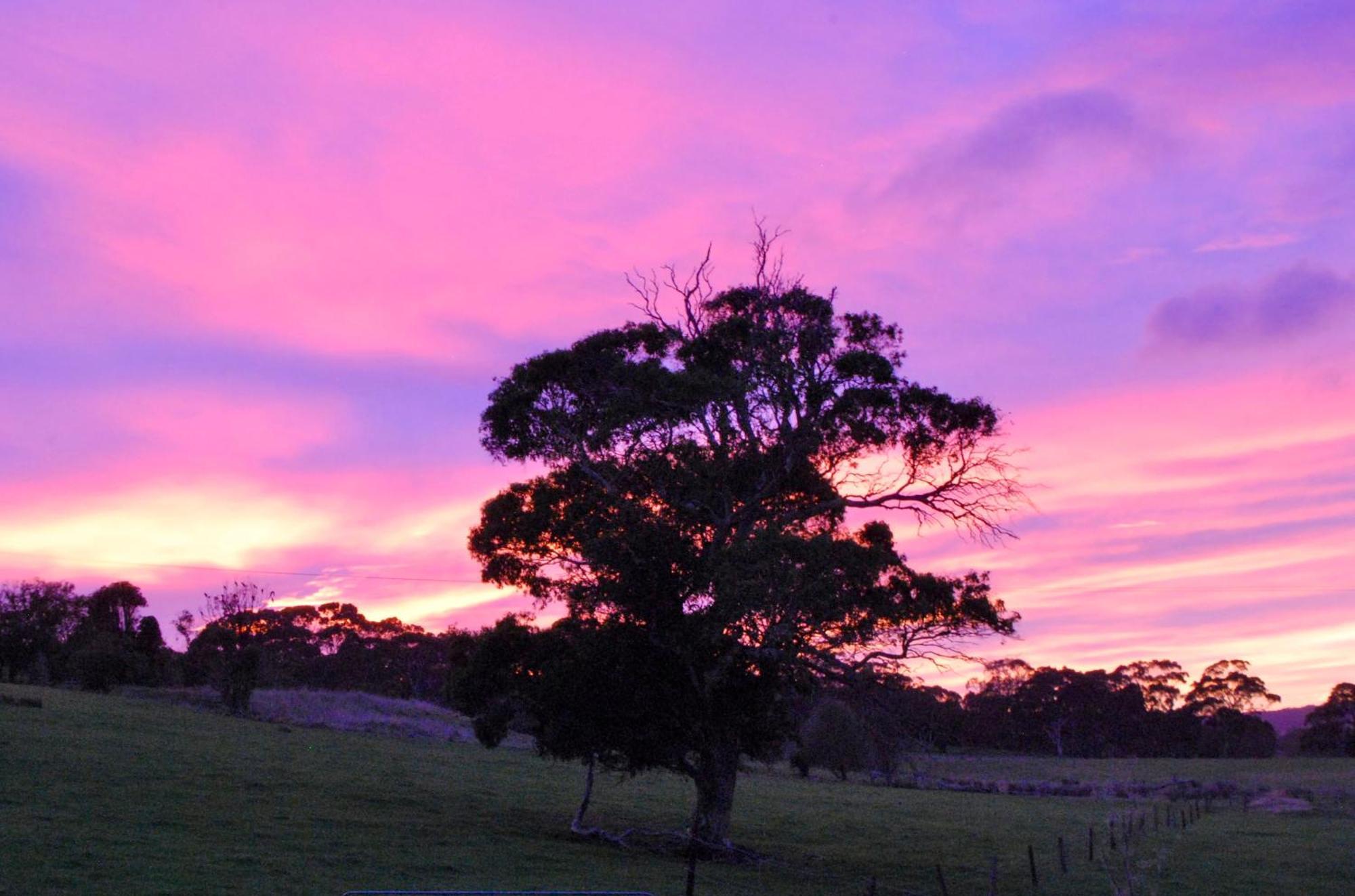 Back Valley Farmstay Bed And Breakfast Victor Harbor Exterior photo
